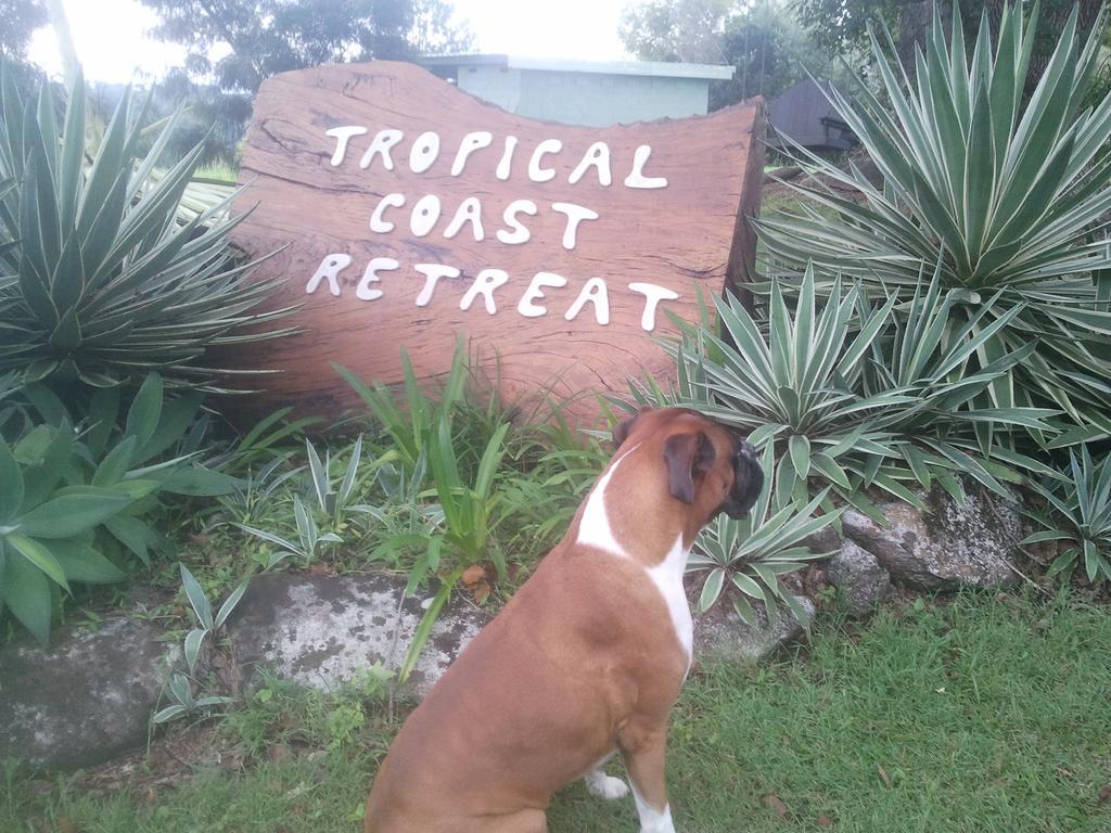 Gasthaus Tropical Coast Retreat - Pet Friendly - Adult Only Kingscliff Exterior foto